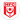 Hallescher FC U19