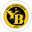 BSC Young Boys