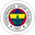 Fenerbahce U19