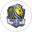 South Bend Lions