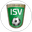 Ilzer SV