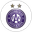 Austria Wien II