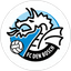 FC Den Bosch