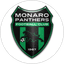 Monaro Panthers