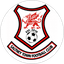 Saltney Town