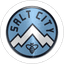 Salt City