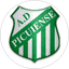 Picuiense