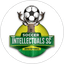 Soccer Intellectuals