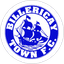 Billericay Town