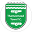 Thamesmead Town