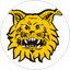 Ilves