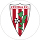 Céltiga
