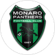 Monaro Panthers