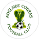 Adelaide Cobras
