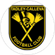 Tadley Calleva