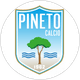 Pineto Calcio