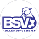 BSV